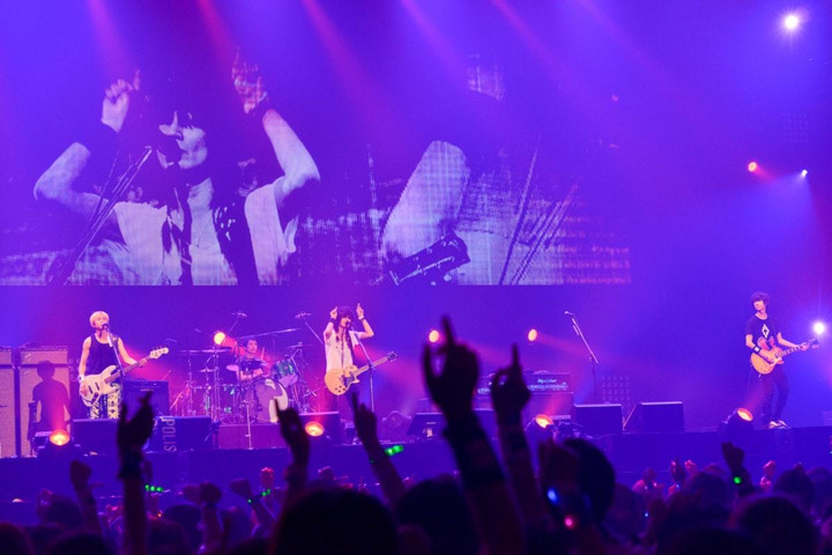 LIVE | BUMP OF CHICKEN official website