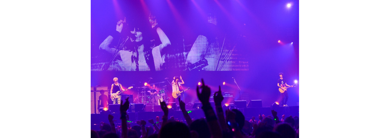 BUMP OF CHICKEN WILLPOLIS 2014 | BUMP OF CHICKEN official website